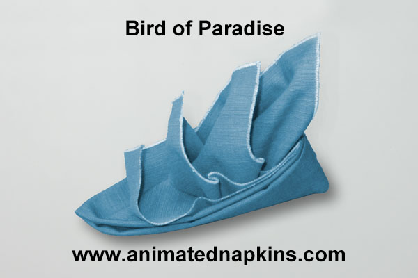 Animation: Bird of Paradise Folding (Quarter)